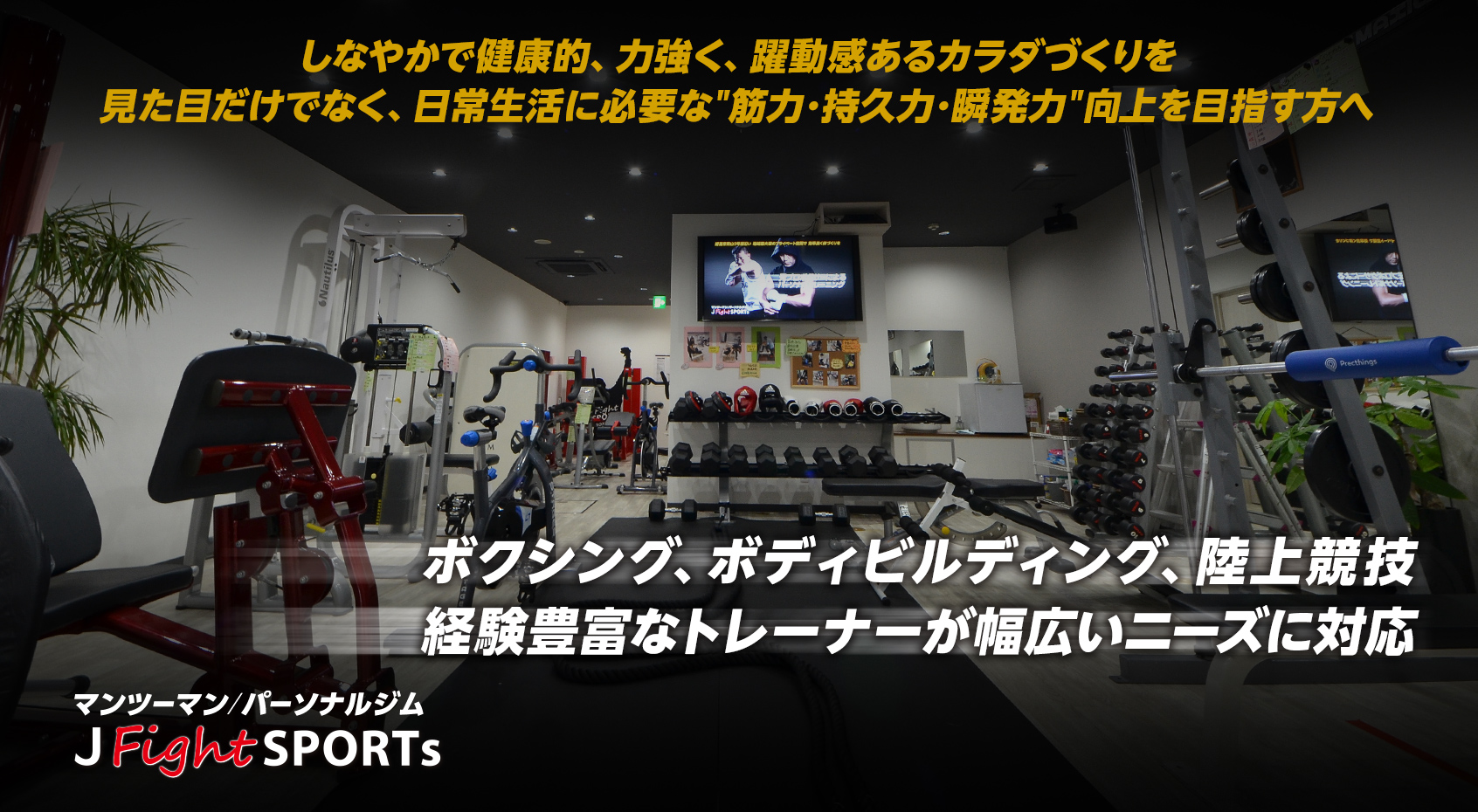 しなやかで健康的、力強く、躍動感あるカラダづくりを見た目だけでなく、日常生活に必要な「筋力･持久力･瞬発力」向上を目指す方へ　筋力アップ・シェイプアップ・ボクササイズ・体幹トレーニング・ストレッチ・筋膜アプローチ・幅広いニーズに対応します！